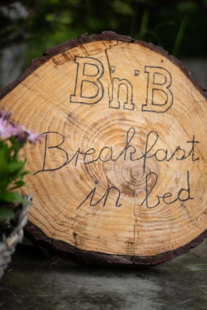 Breakfast in bed